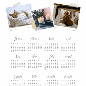 Metų kalendorius ( vieno lapo )